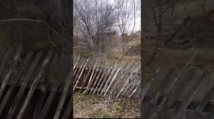 Начало благоустройства дачного участка 6 соток.