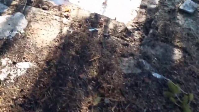 Заброшаные Места в деревне Грачёвка