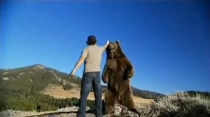 Оказывается, с медведем гризли можно играть, как с котёнком.