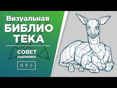 Визуальная библиотека. Как художнику развить воображение