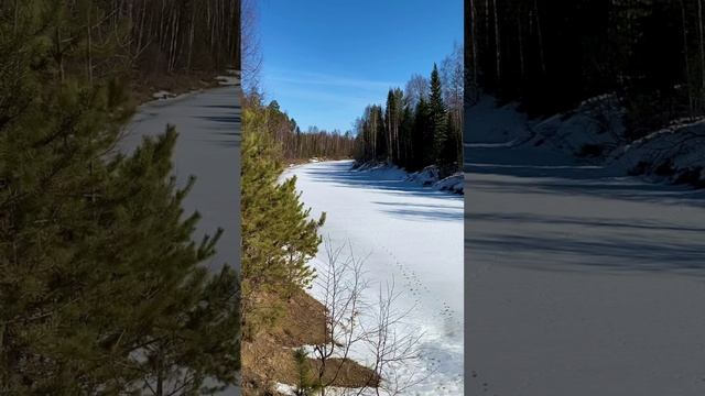 Видеофон река зимой в лесу