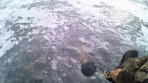 Березовское водохранилище  29 марта . Сорога поклевала с утра,  поднявшийся ветер испортил рыбалку.