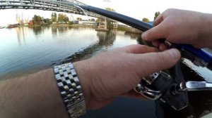 Спиннинг из телескопической 5 метровой удочки/Ловля хищника на р.Мертвая Висла