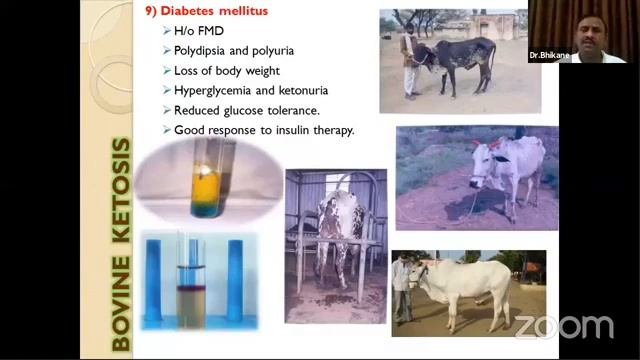 Recording of Live Webinar by Dr Anil Bhikane смотреть онлайн