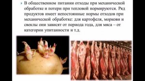 Лекция Сборник рецептур блюд