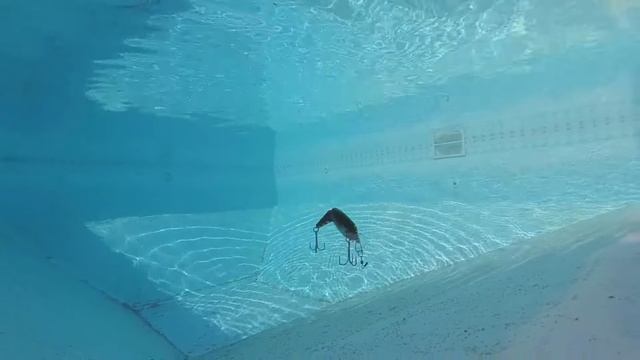 Lure Library EP 8 Rapala X Rap Jointed Shad смотреть онлайн