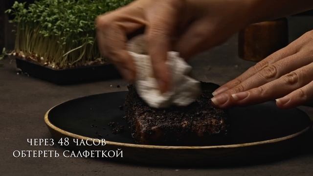 Слабосоленый лосось в кофе / Необычный рецепт засолки красной рыбы