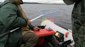 Рыбалка на Кольском в Июне 2021.mp4