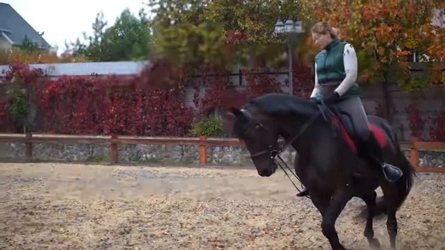 «#Наспорте» Конный Спорт
