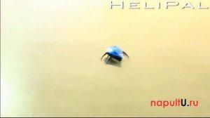 Радиоуправляемая Муха Cute Sunlight Beetle Fluorescent и Жук Cute Sunlight Coleoptera