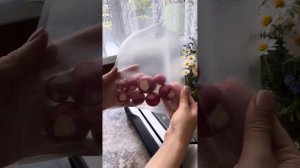 Инструкция. Вакууматор Vacuum Guru. ???????Артикул Wb 161103086
