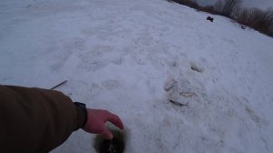 Плотва на БЕЗМОТЫЛКУ в середине февраля!