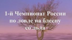 Чемпионат России по ловле на блесну со льда Красновидово 2014