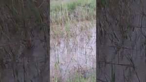 Рыбалка в ставропольском крае 2017 года  (часть 2).