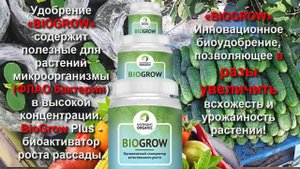 кроличий помет как удобрение