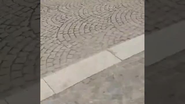 Поездка в Амстердам. Достопримечательности.