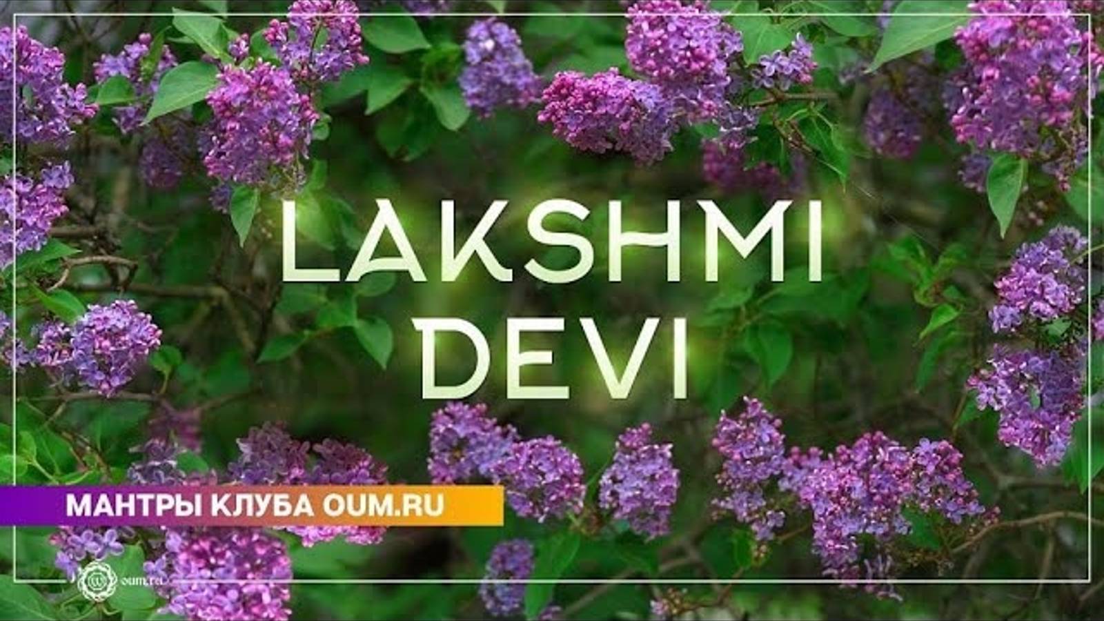 Lakshmi Devi - Daria Chudina