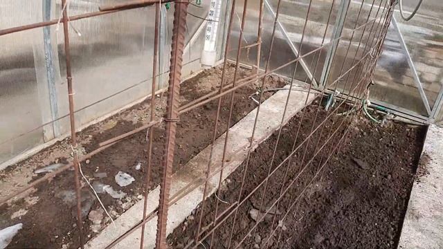 Наконец-то весна! Цветет Вереск, крокусы! смотреть онлайн