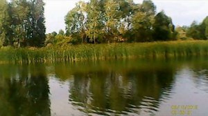 Осенний жор щуки,  сентябрь 2016