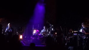 Аквариум в пензе -  Государыня