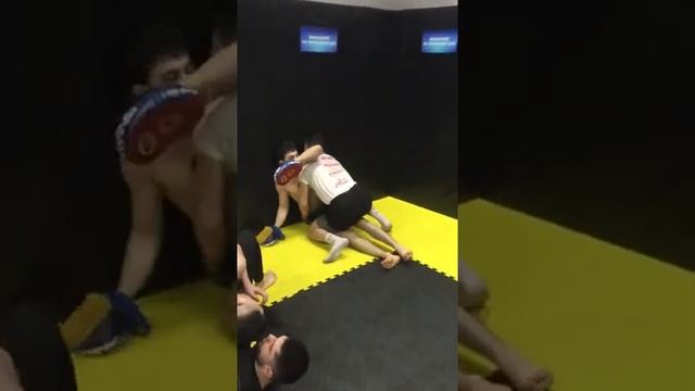 Чоршанбе Чоршанбиев жесткая подготовка против Салониным смотреть онлайн