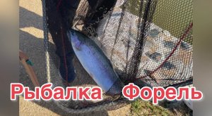 РЫБАЛКА. ФОРЕЛЬ.