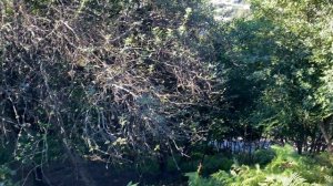 Продается участок. Верхнеармянская Хобза. 25 соток. Лпх. Супер вид на море.