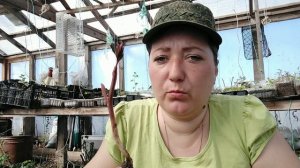 Пионы размножаю в апреле и мае. Потом только листиком