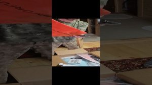 Видеообзор распаковка сапборда SUPFORFUN. Полная комплектация