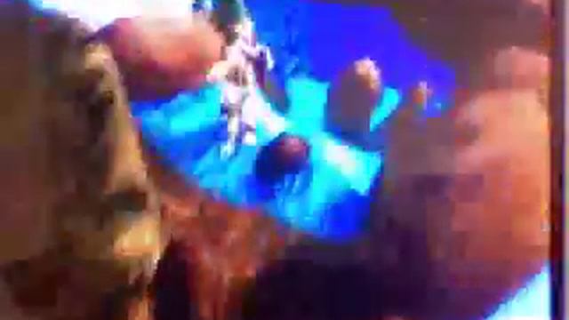 Ratchet and clank Future:TOD Glitches Part 1 смотреть онлайн