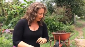 How to make a No Dig Garden - Morag Gamble