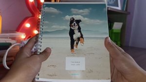 Собираю рюкзак и пенал в школу ? Back to school 2022