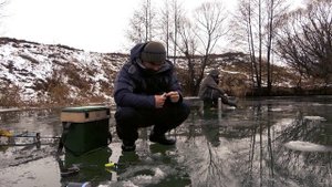 Навозный червь сманил горбатых и понеслась ч.1.