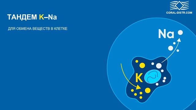 Вода - источник жизни, а ГидраМакс лучшее, что может случиться с водой. смотреть онлайн