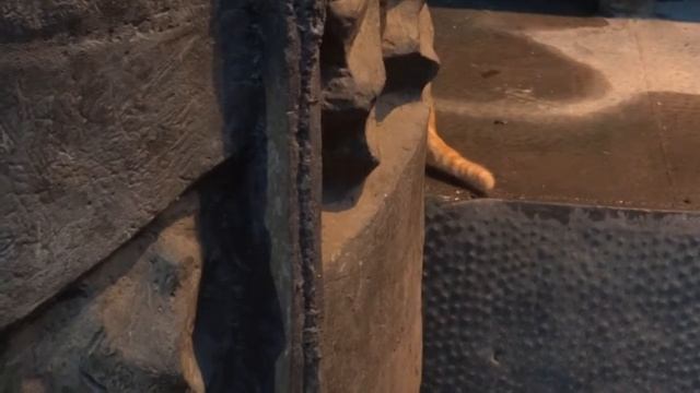 День музеев в Москве. Мастерская Зураба Церетели. Скульптуры и картины смотреть онлайн