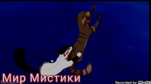 Темнохвост- коты воители