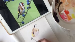 Ботаническая Акварель