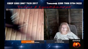 Куратор отругает