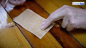 Мастер-класс по письму на бересте от Горсайта: видео