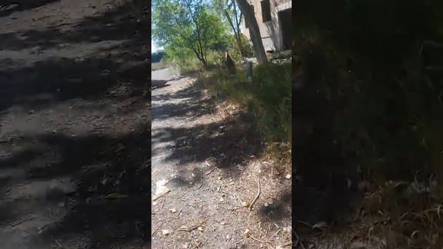 Вырвали значок Mercedes-Benz смотреть онлайн