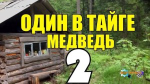 ОДИН В ТАЙГЕ  ВЕРНАЯ СОБАКА  УШЕЛ В ТАЙГУ 2 из 2