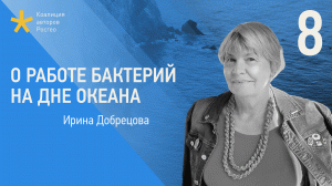 О работе бактерий на дне океана. Лекция геолога Ирины Добрецовой