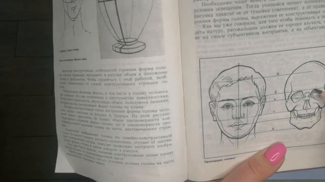 основы построения головы человека