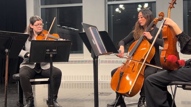 Duet for Violin and Cello, composed by Sophie Rahmanian, 2022 смотреть онлайн