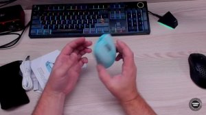 ✅ ОБЗОР НОВИНКА ARDOR GAMING ESSENCE