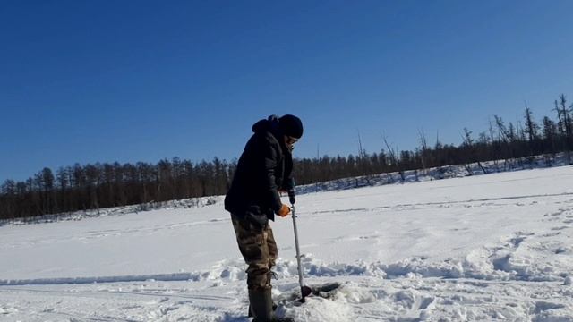 Тестируем смотреть онлайн