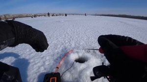Зимняя рыбалка в глухозимье - СУДАК на малька и балансир