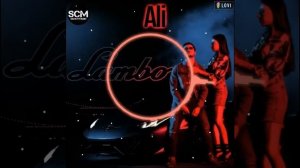 Конфуз Ламбо remix