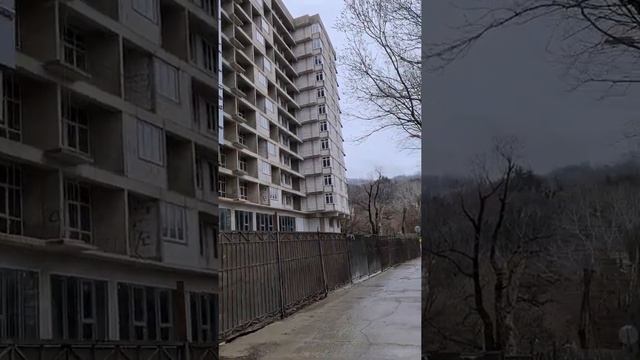 хвоста ривер парк Сочи квартиры в центре Хосты