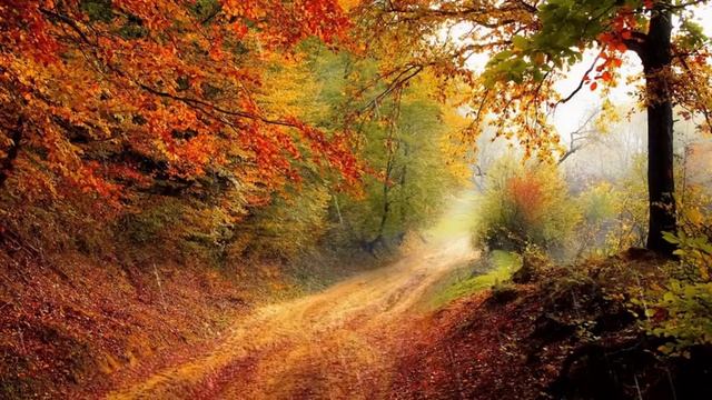 388. 50 МИНУТ ПОД ДОЖДЁМ | 818 НАНДИ И 808 БАСМАКИ |  relax смотреть онлайн